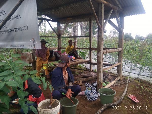 Bercengkrama Dengan Para Petani